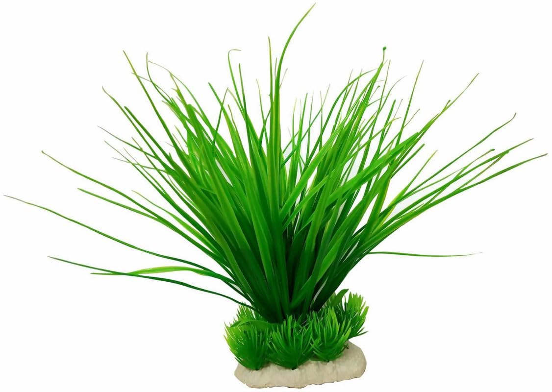 Jainsons Plastic Plants for Aquarium Decorations Plastic Plants | 1 Green-Grass-Plant 9 Inch399 (B0D2J5XCG7) Amazon Price History, Amazon Price Tracker