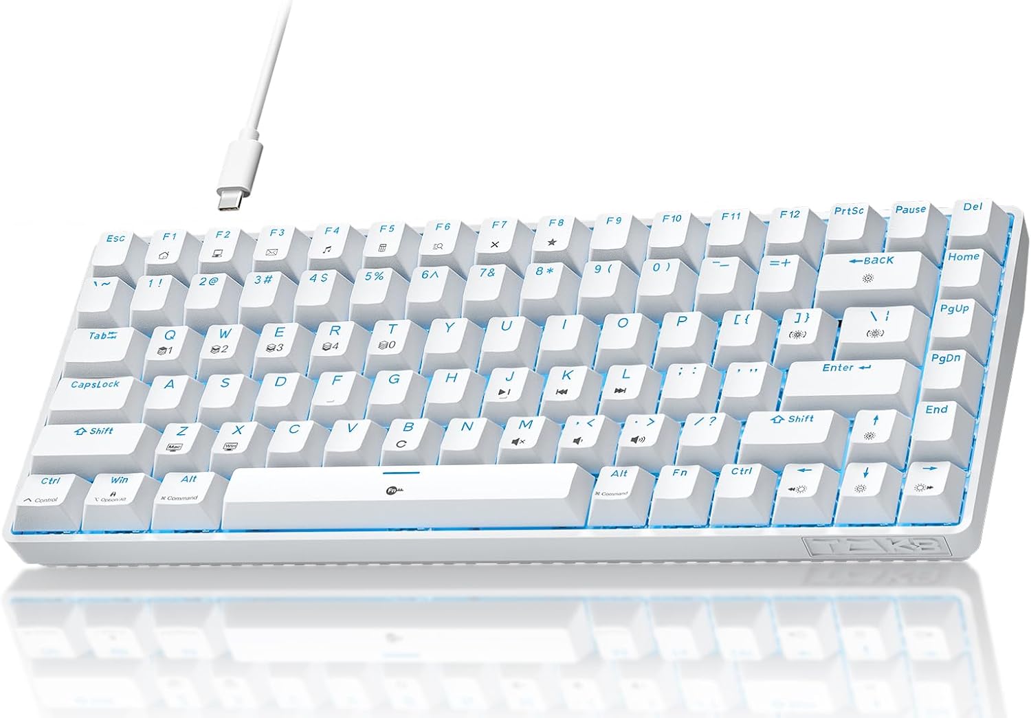 TMKB T84SE Gaming Keyboard,75% Mechanical Keyboard with Linear Red Switch,Ice Blue LED Backlit, Detachable USB-C Cable,Full-Key Rollover for Computer/PC/Laptop/MAC,US Layout,White