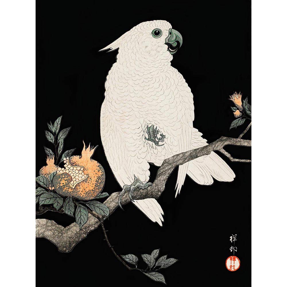 Wee Blue Coo Cockatoo Pomegranate Ohara Koson Art Print Poster Wall Decor 12X16 Inch