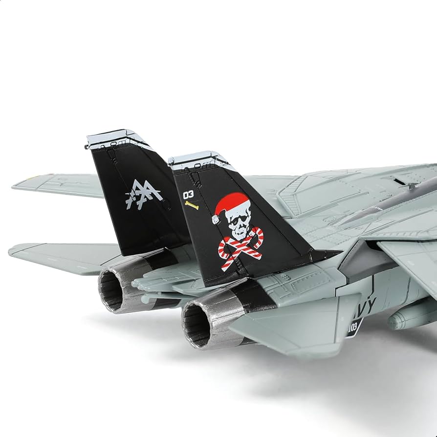 Amazon.co.jp: NUOTIE 1/100 F-14B サンタキャッツファイターモデル VF