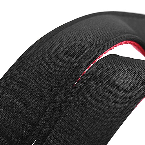 Festnight Strong Durable Dog Collar Dual D-ring Nylon Comprimento ajustável Tiras reflexivas Confort