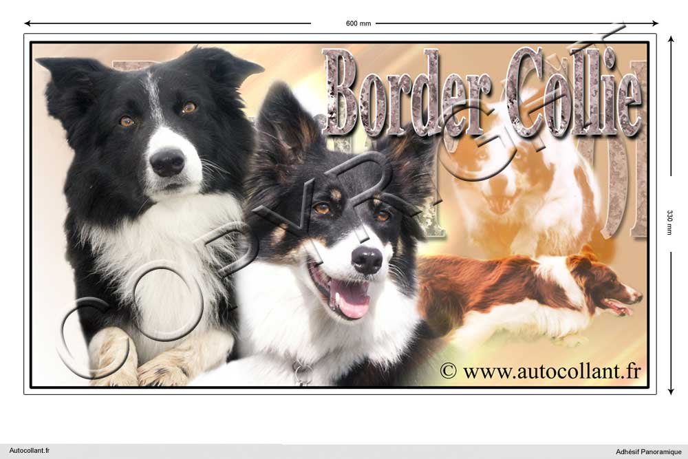 Pegatina Perro panorámica 15 cm a 100 cm border-collie-agility