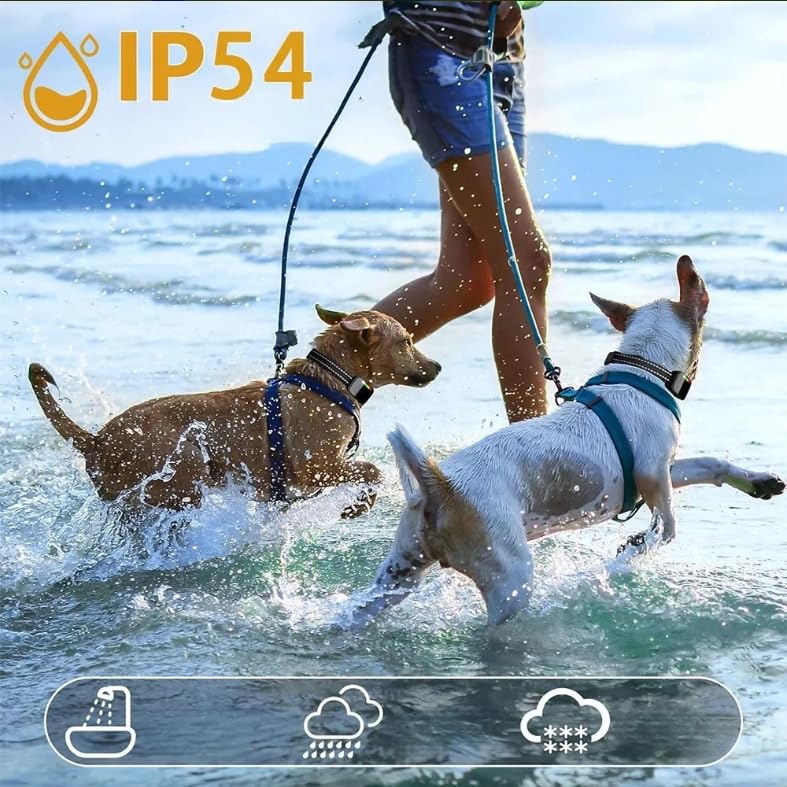 Emmalove - Tierfreundliches Halsband 2.0 (Schwarz)