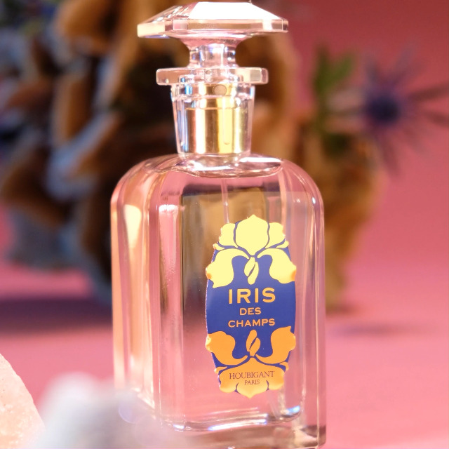 Amazon.com: Houbigant, Iris des Champs Eau de Parfum, 100ml