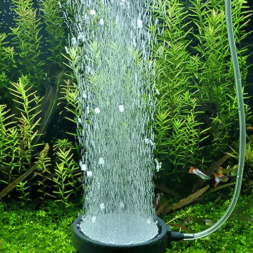 Pierre à air pour aquarium anti eau trouble diffuseur oxygène nettoyable
