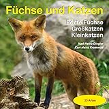 Füchse und Katzen: Echte Füchse, Großkatzen, Kleinkatzen