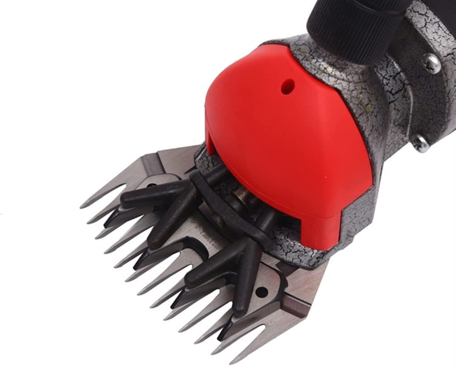 GeRRiT Sheep Shear Sheep Shearer 350W Electric Clipper Pet Grooming Clipper Electric Wool Shears Horse Hair Shears Farm Animal Haircut Razor Trimmer 13 Straight Tooth Blade 6 Mo