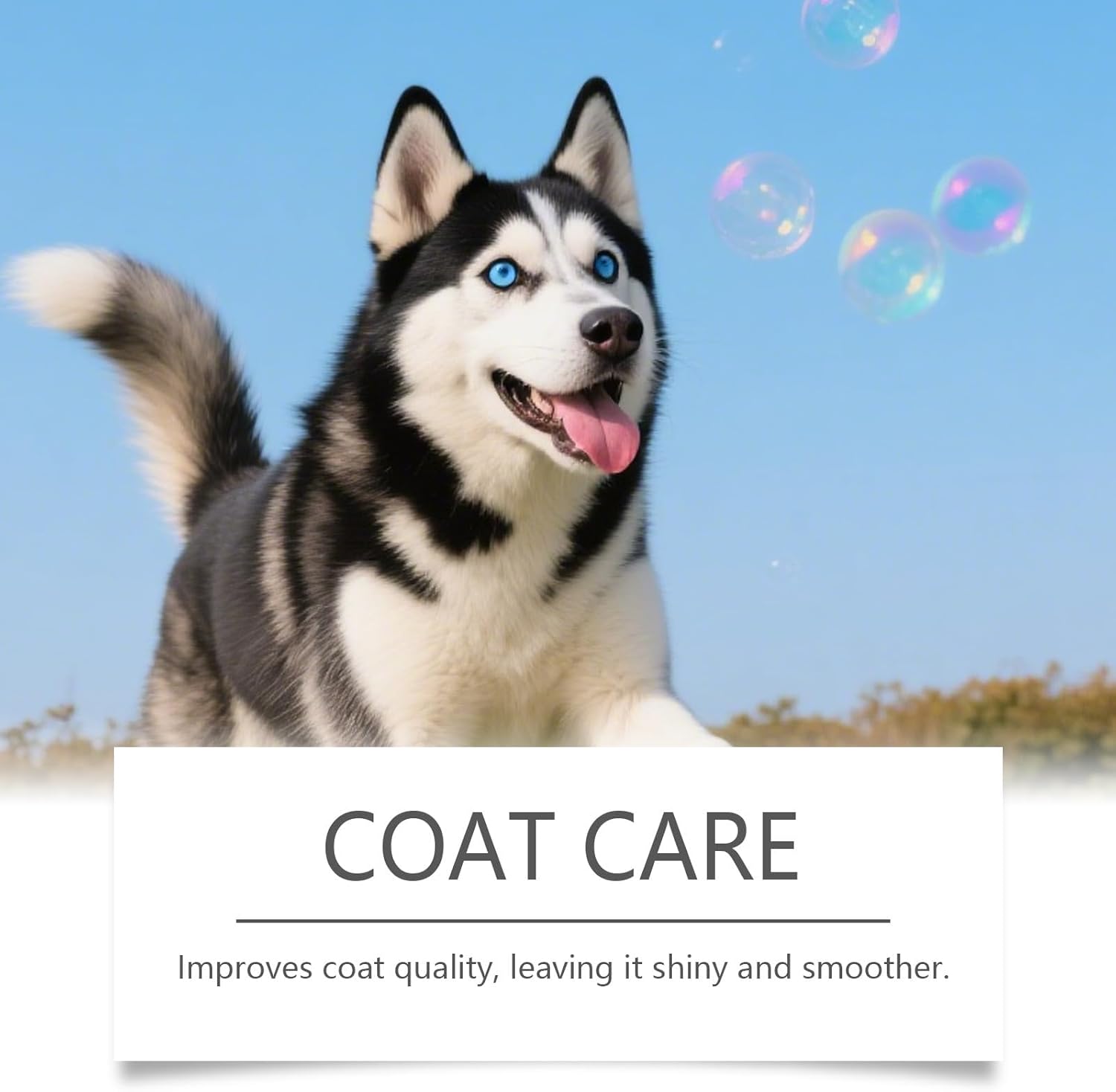 Bloom Collagen for Dogs, Bloom Triple Collagen for Dogs, Gentle Formula, Supports Skin and Coat, Joint Comfort, 60ml (2pcs)