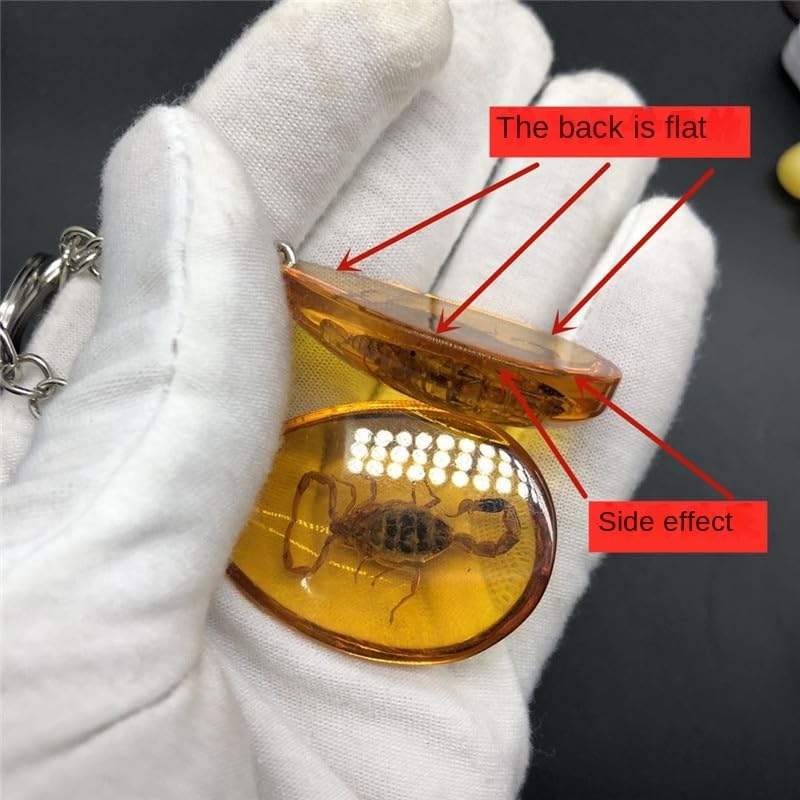 Image of 6Pcs Amber Fossil Keychain Set - Insect Specimen Necklace, Home Decor Collectible, Oval Pendant, Scientific Education Gift