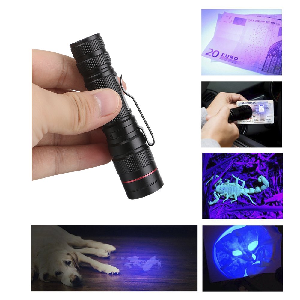 Lampe UV Torche Eletorot 395nm - Lumière Noire Ultraviolet Pour Résine - Pile Alcaline