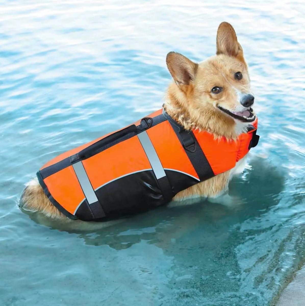 Dogs Need Safety Vests Too Orange Aquatic Pet Preservers Life Jacket Boating Water Safety (Large)