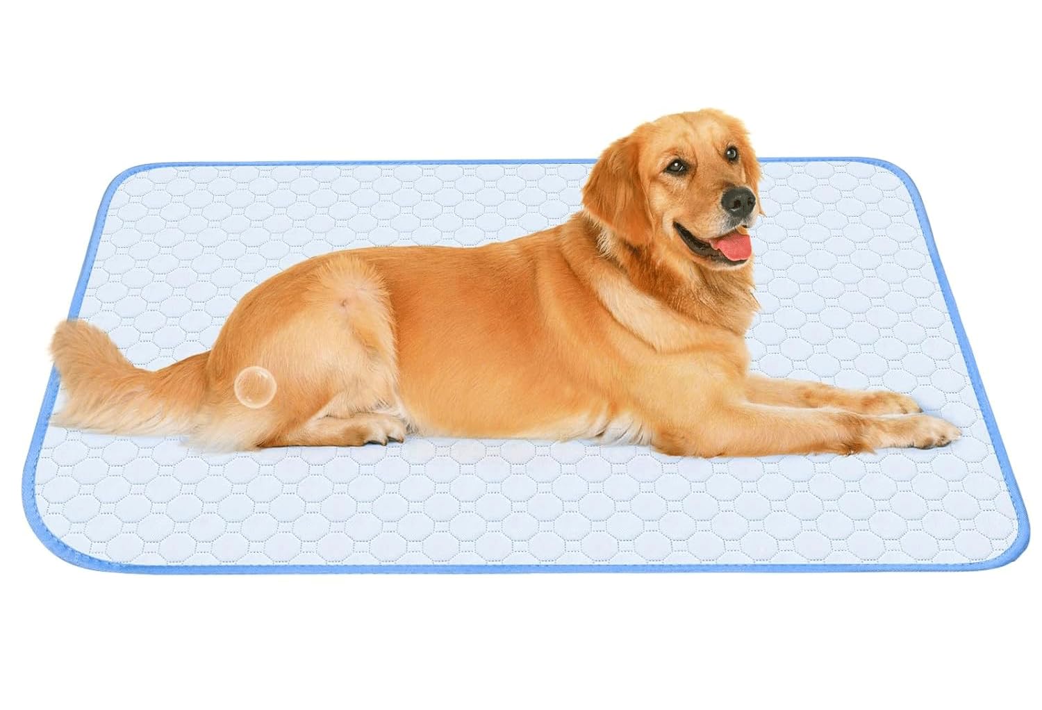 Large Ice Silk Cooling Mat for Dogs, Reusable Washable Pet Cool Pad for Cats and Puppys Leak-Proof Non-Slip Pee Pad for Bed Sofa Crate Cage Nest Car (100x65cm | Blue)