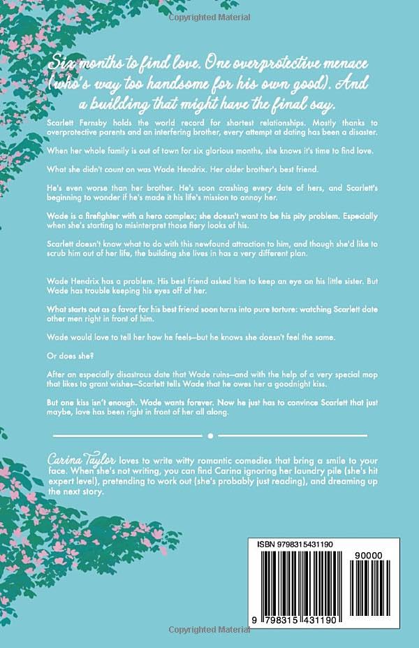 Clean Out of Luck: a whimsical romance - Image 2