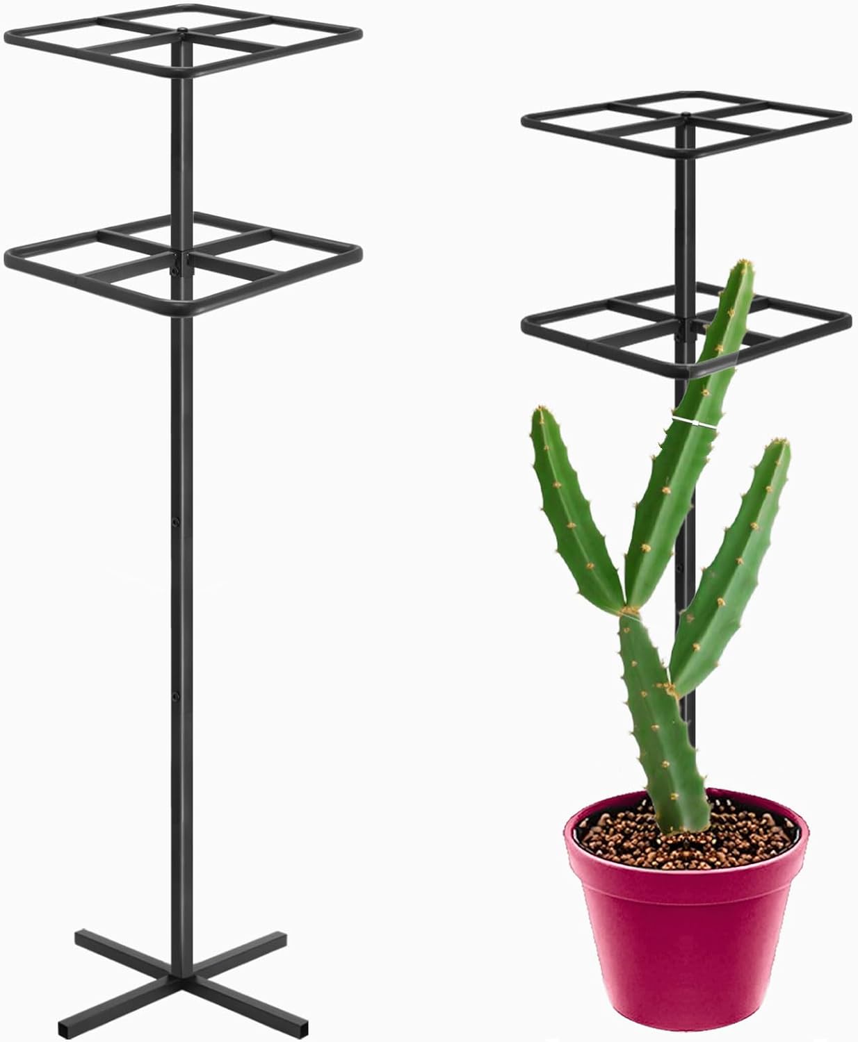 Adjustable Double-Layer Dragon Fruit Trellis Black,Durable Metal Plant Trellis Outdoor Climbing Plants Support Frame for Vertical Gardening Trees Cactus