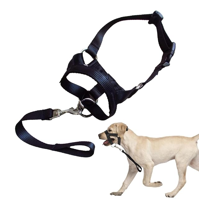 Foto 7 de 8 de Bozales para perros medianos - Arnés de entrenamiento para perros bozal con correas ajustables, soporte…