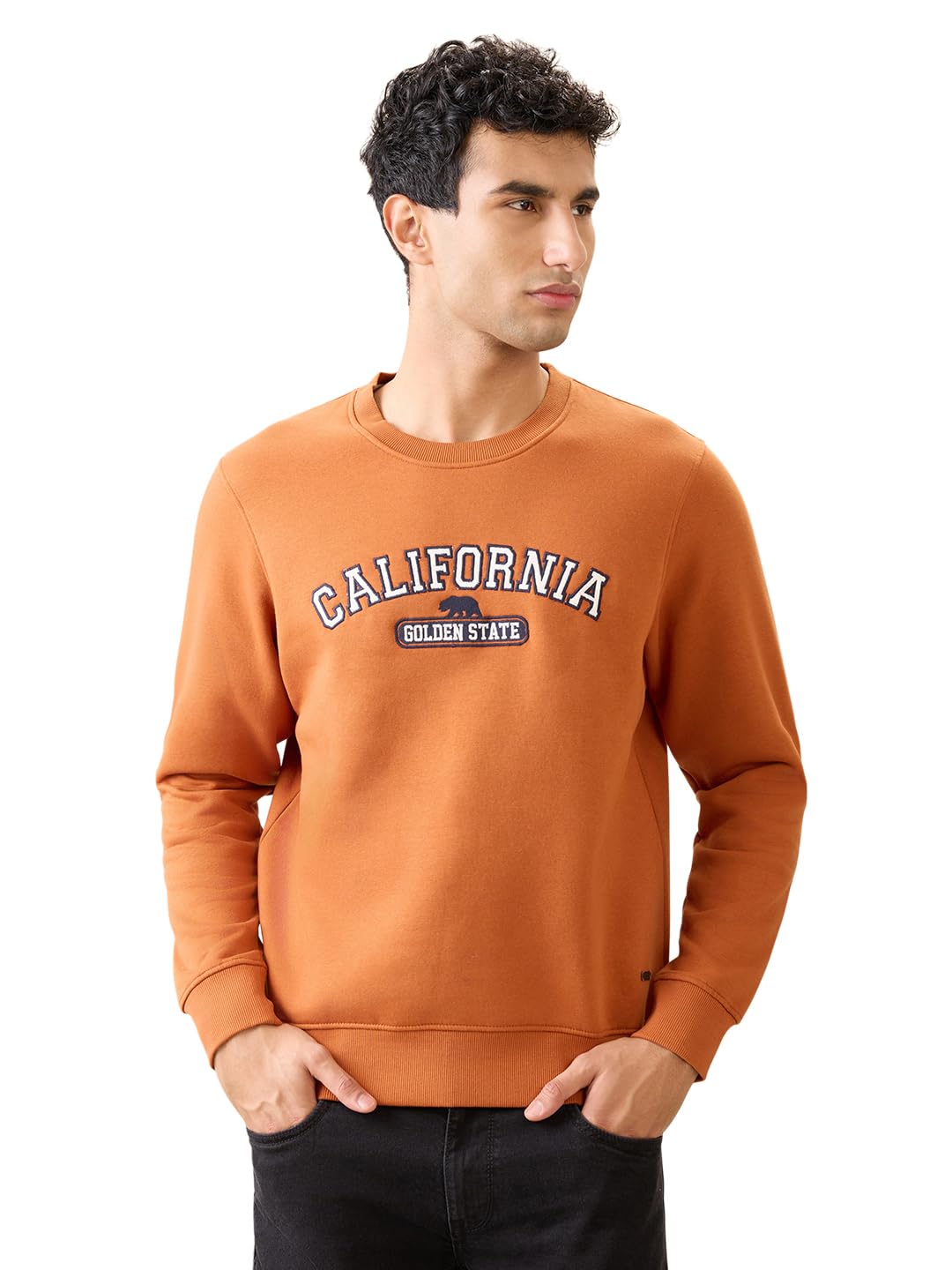 Men Full Sleeve Regular Fit Graphic Pattern Cotton Polyester Blend Round Neck Round Neck Casual Sweatshirt-image-21