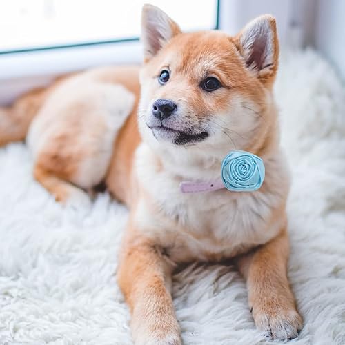 Miniatura 7 de FZBNSRKO 30 piezas de cinta de satén, mini flores de tela para manualidades, manualidades de costura, apliques para bodas y manualidades, regalo de