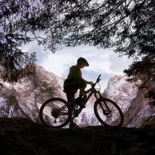 Garmin Edge 530 (Sensor Bundle) Gps Bike Computer With Hrm, Speed/Cadence Sensors, Silicone Case (Black) & Tempered Glass | Cycle Maps, Vo2 Max, Popularity Routing | Cycling Computer | 010-02060-10 #TOP3