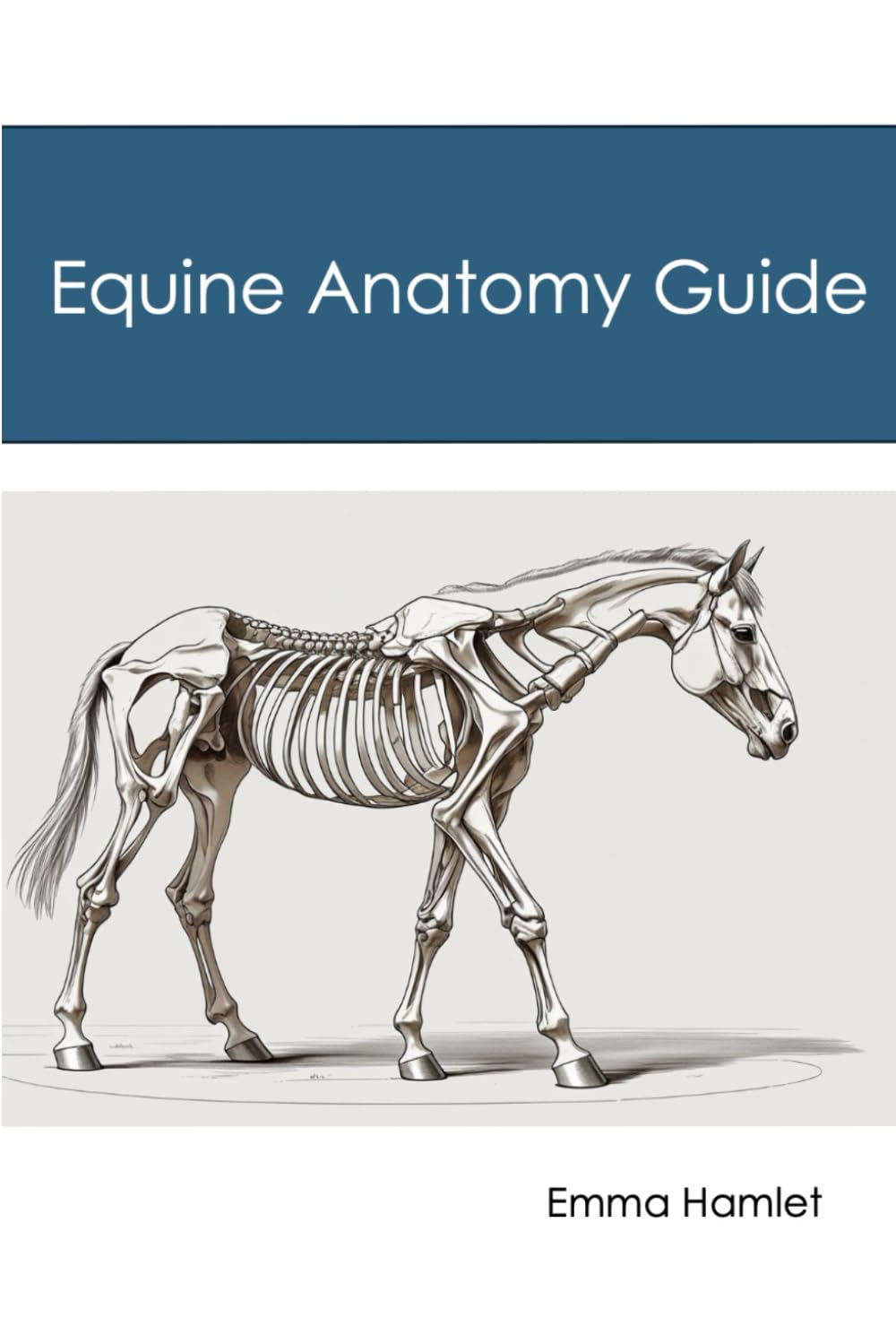 Equine Anatomy Revision Guide