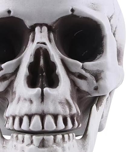 Miniatura 9 de Estatuas de calavera de Halloween de tamaño real, modelo de cráneo, decoración de Halloween, decoración de Halloween, calavera de esqueleto, cráneo,
