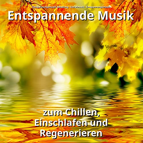 Entspannende Musik zum Chillen, Einschlafen und Regenerieren von Entspannungsmusik Abteilung
