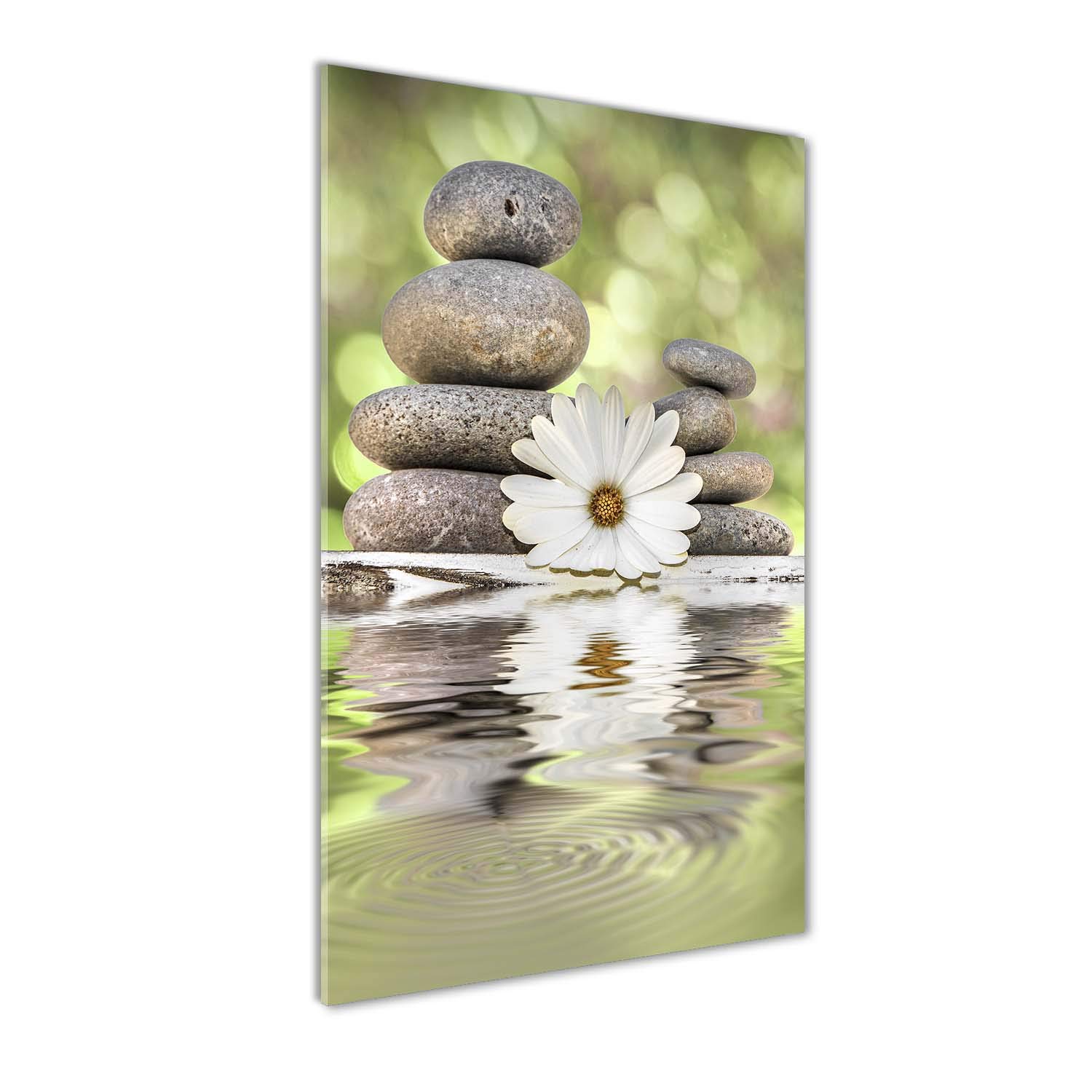 Impression sur verre 50x100 cm vert avec pierres et fleurs pour la cuisine
