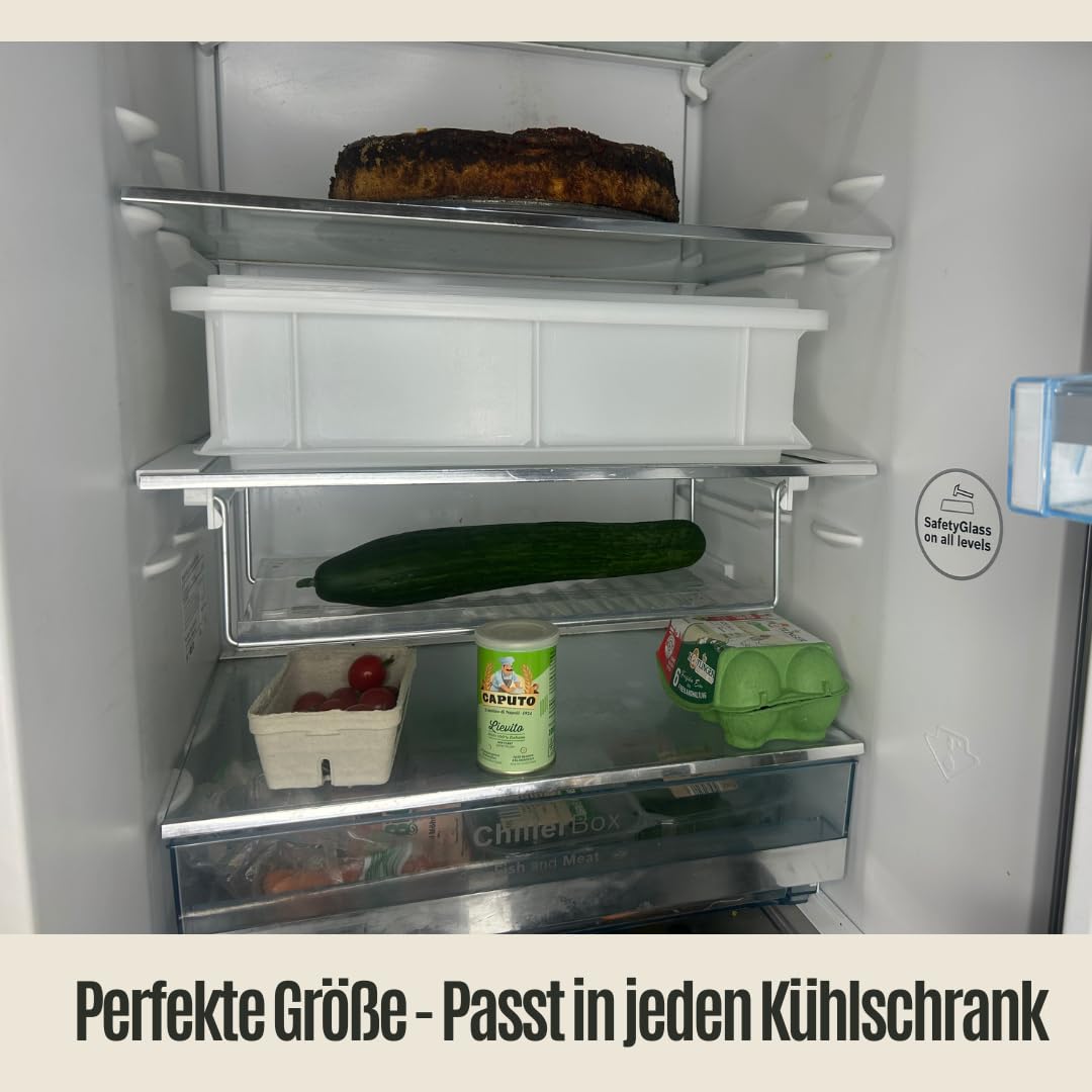 Pizza Starter-Set | Pizzaballenbox mit Deckel 40x30cm, H 10cm + 4x Caputo Pizzeria Mehl + Caputo Semola + Trockenhefe + Pizzaspachtel + Rezept-Karte (Pizza Starter-Set)