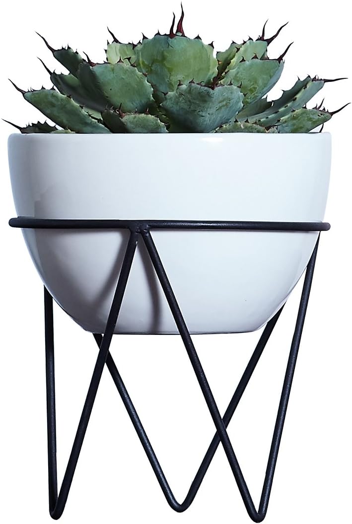 AsureQ Ceramic and Iron Stand Planter Flower Pot Succulent Plant Holder for Indoor and Outdoor Decorative (Circular)