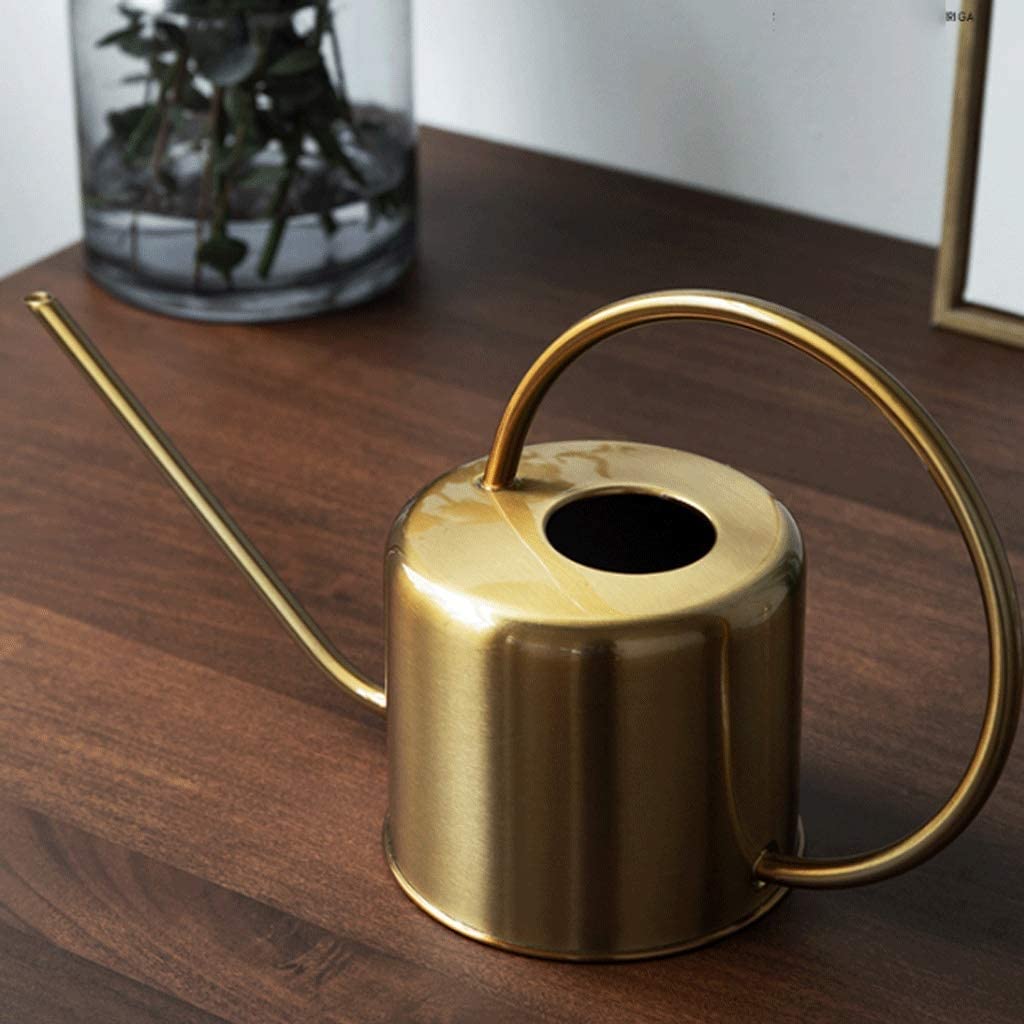 Regadera, Decorativa Moderna Regadera De Jardín Acero Inoxidable 1.3L Pequeña con Mango for Plantar Flores Latas de Riego