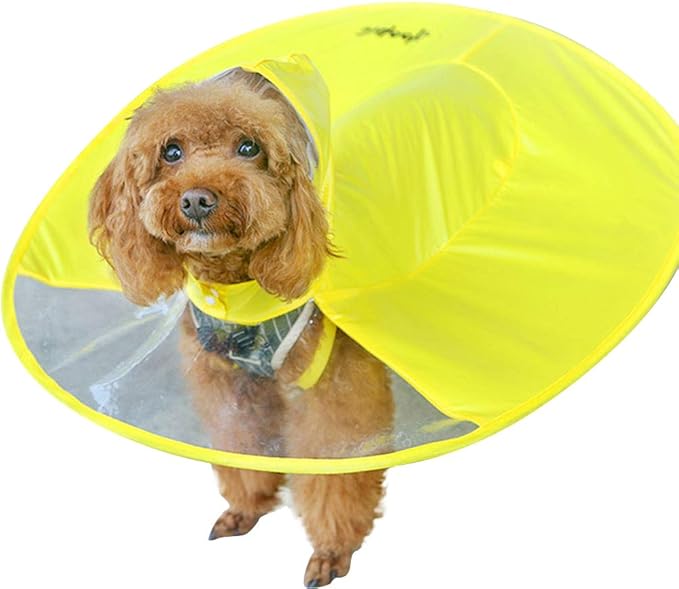 Doggie umbrella hat Clearance