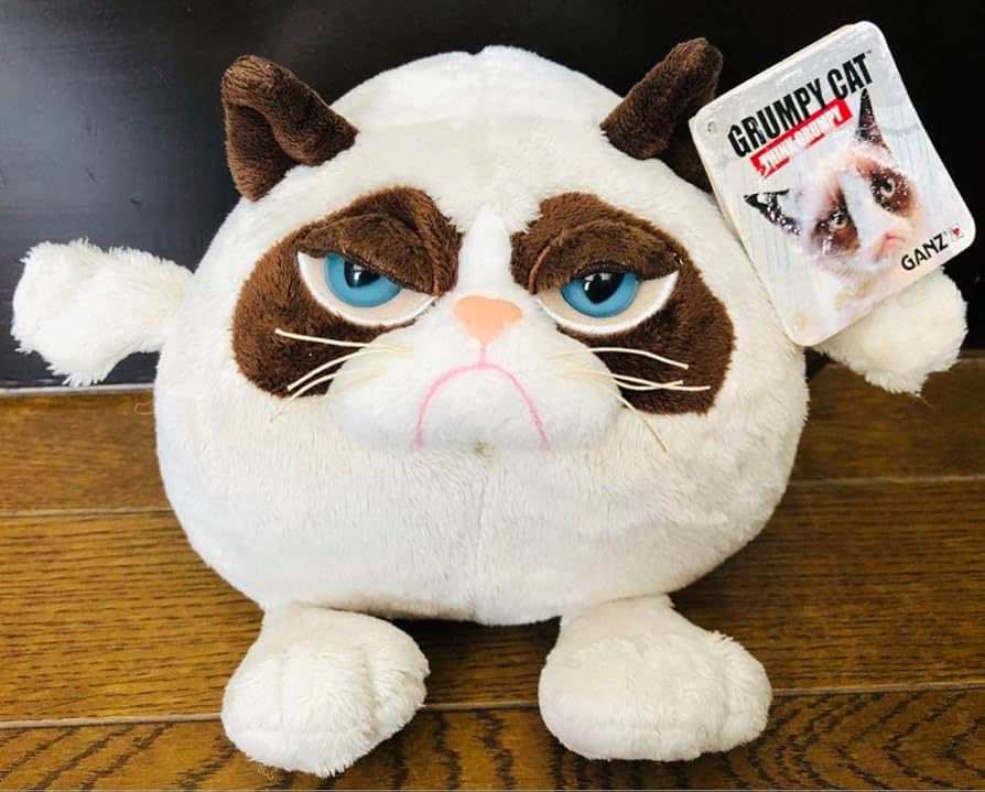 【ねねこ】新品タグ付きGULL タッパー XLサイズ ねねこ様専用】新品タグ付きGULL タッパー XLサイズ - メルカリ