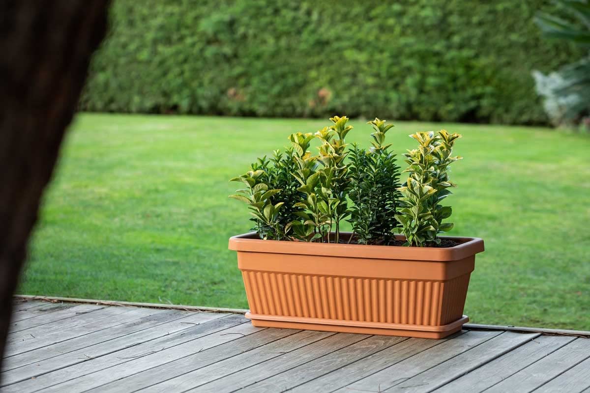 Jardinera Terracota | Comprar Online | Pur Plant, image size:1200x800