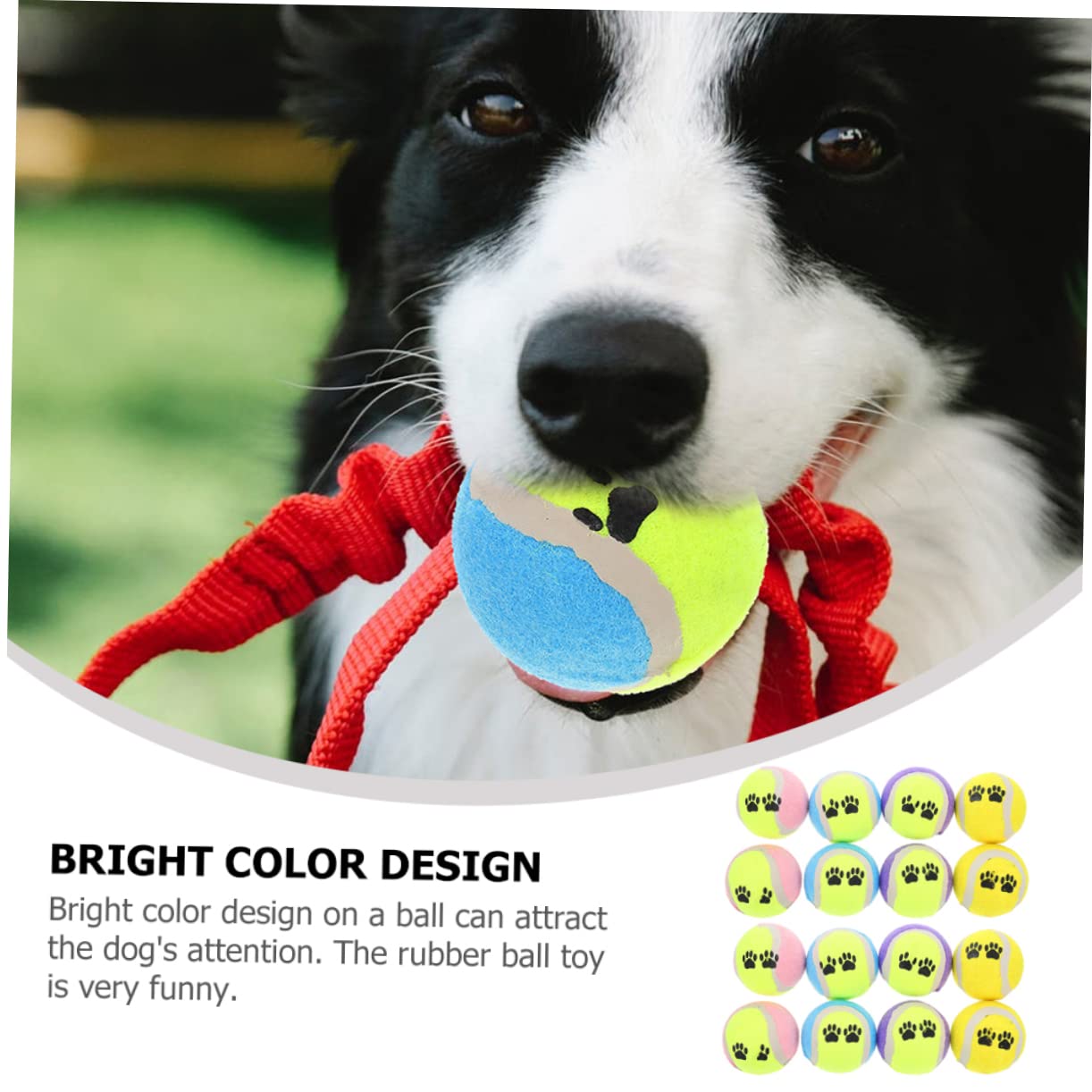 Toddmomy 16pièces Balles pour Chiens Jouets De Et Entraînement pour Chiots Coloris Variés De Résistantes Aux Morsures Et Flottantes