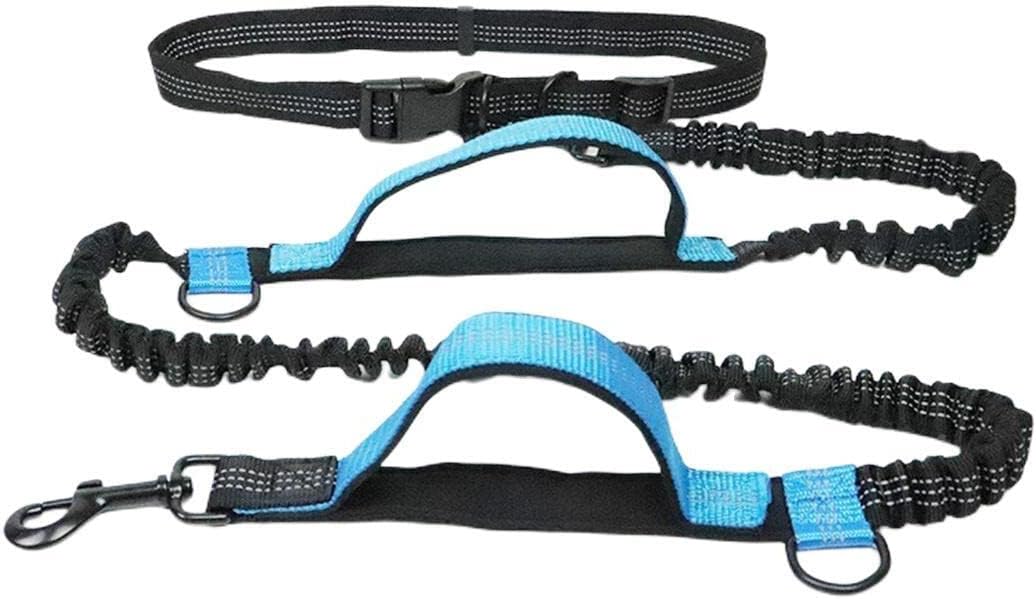 Pet Traction Rope Outdoor Running Reflective Double Telescopic Dog Rope Dog Chain Traction Rope