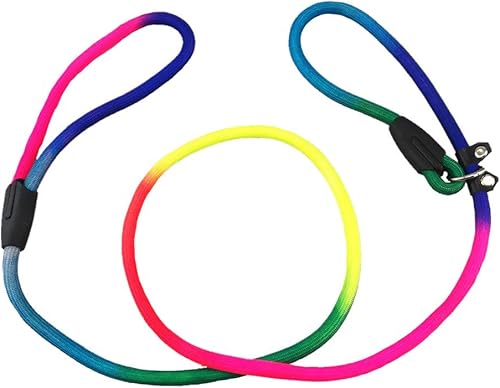 Miniatura 2 de yueton Correa de nailon para perros Rainbow Pet Cuerda de plomo ajustable