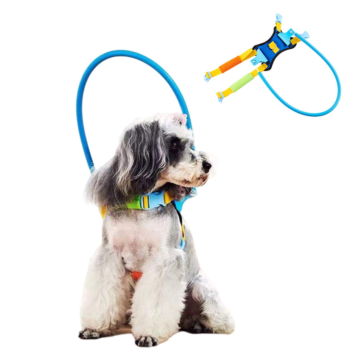 Pet Anti-collision Ring Adjustable Blind Dog Harness, Cataract Animal Protection Ring Halo Blind Dog Harness For Protection Of Pet Dogs And Cats(XXS, Blue)