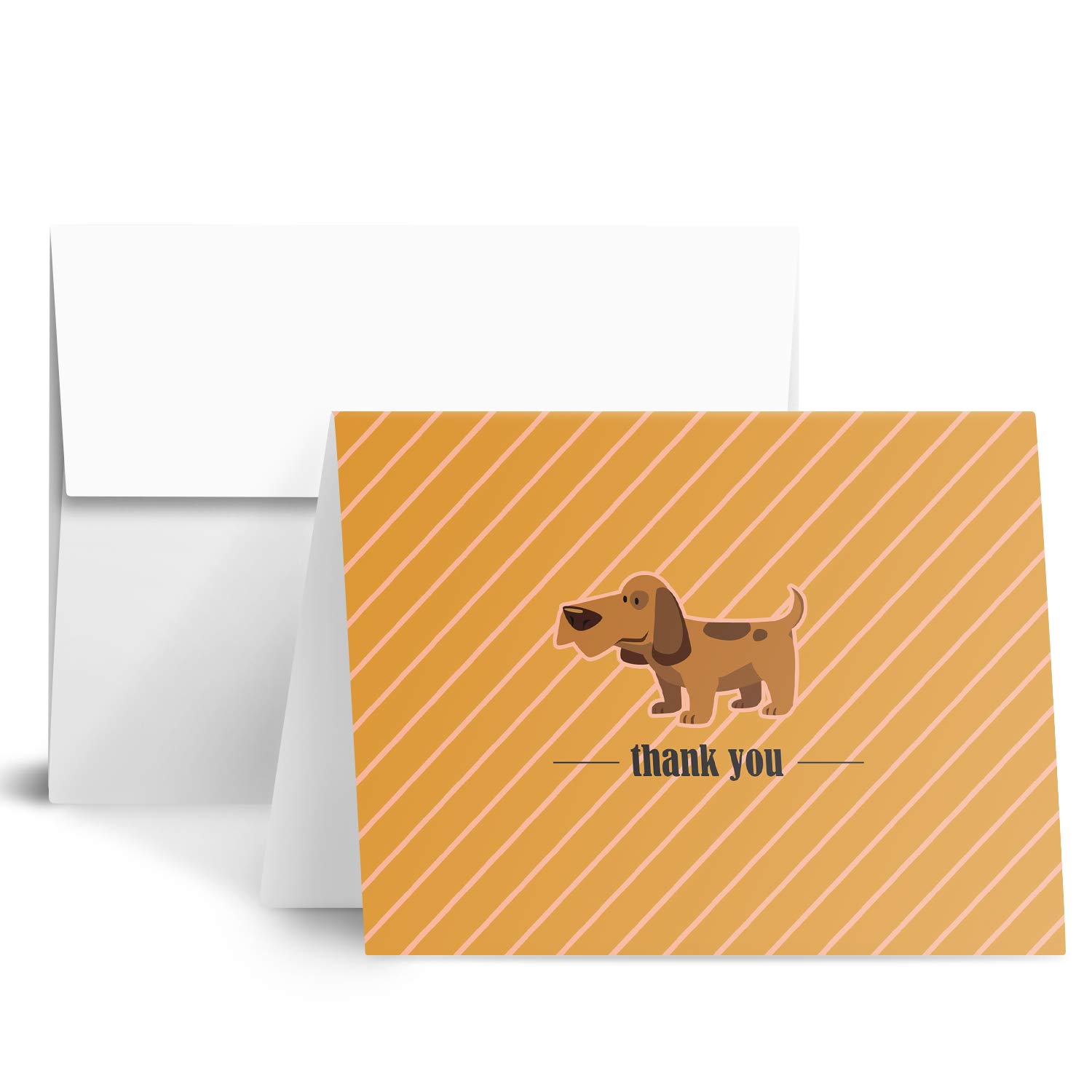 Superfine Printing Inc. Animal preciosa nota de agradecimiento Tarjetas de felicitación tamaño 4"x 6" Paquete de 30 tarjetas con los sobres blancos espacio en blanco