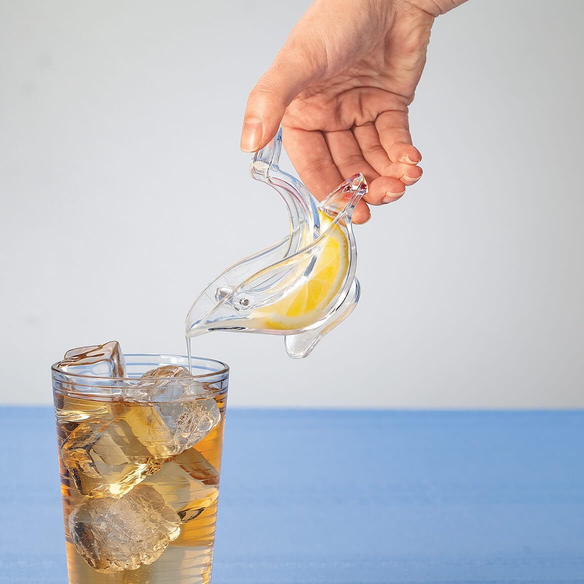 Birdie Lemon Slice Juicer, Crafted with Clear Durable Plastic, Kitchen Gadgets - Measures 4 3/4