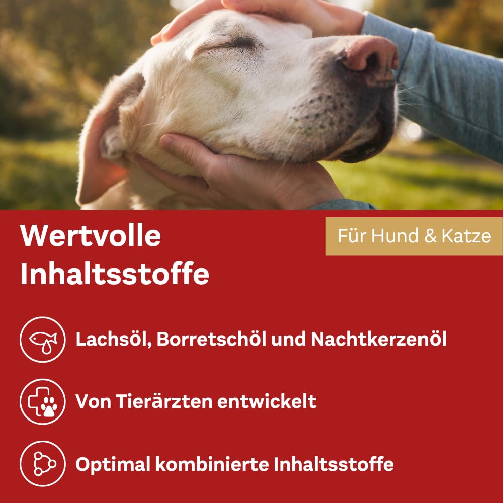 Doppelherz für Tiere Haut und Fell Öl für Katzen und Hunde | Mit essentiellen Omega- 3 und Omega-6 Fettsäuren – 250ml