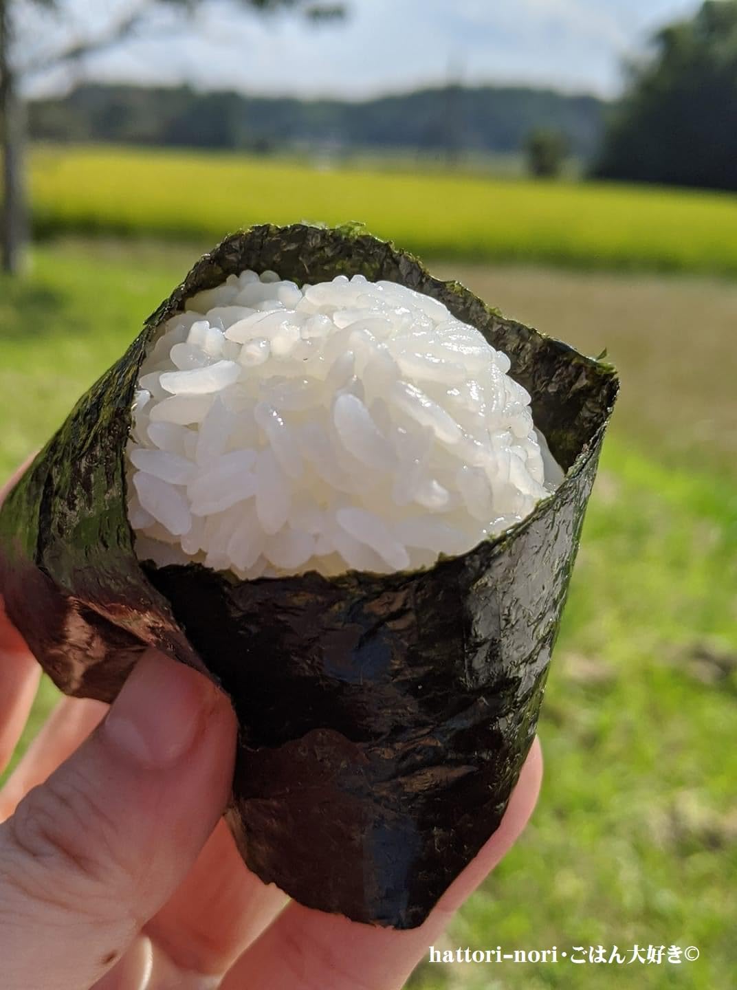 【Amazon.co.jp 限定】はっとり海苔 焼きのり プレミアム ＰＲＥＭＩ…