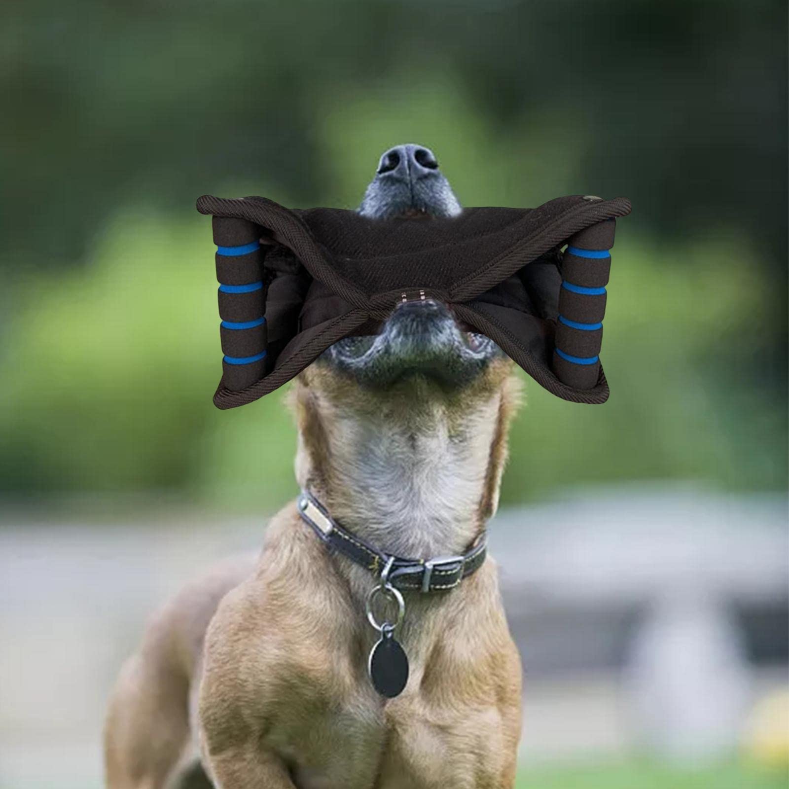 Manga de Entrenamiento para Mascotas con Cojín de Yute Mordedor Asa Ergonómica Y Material Resistente Protección Eficaz Durante El Entrenamiento Adecua