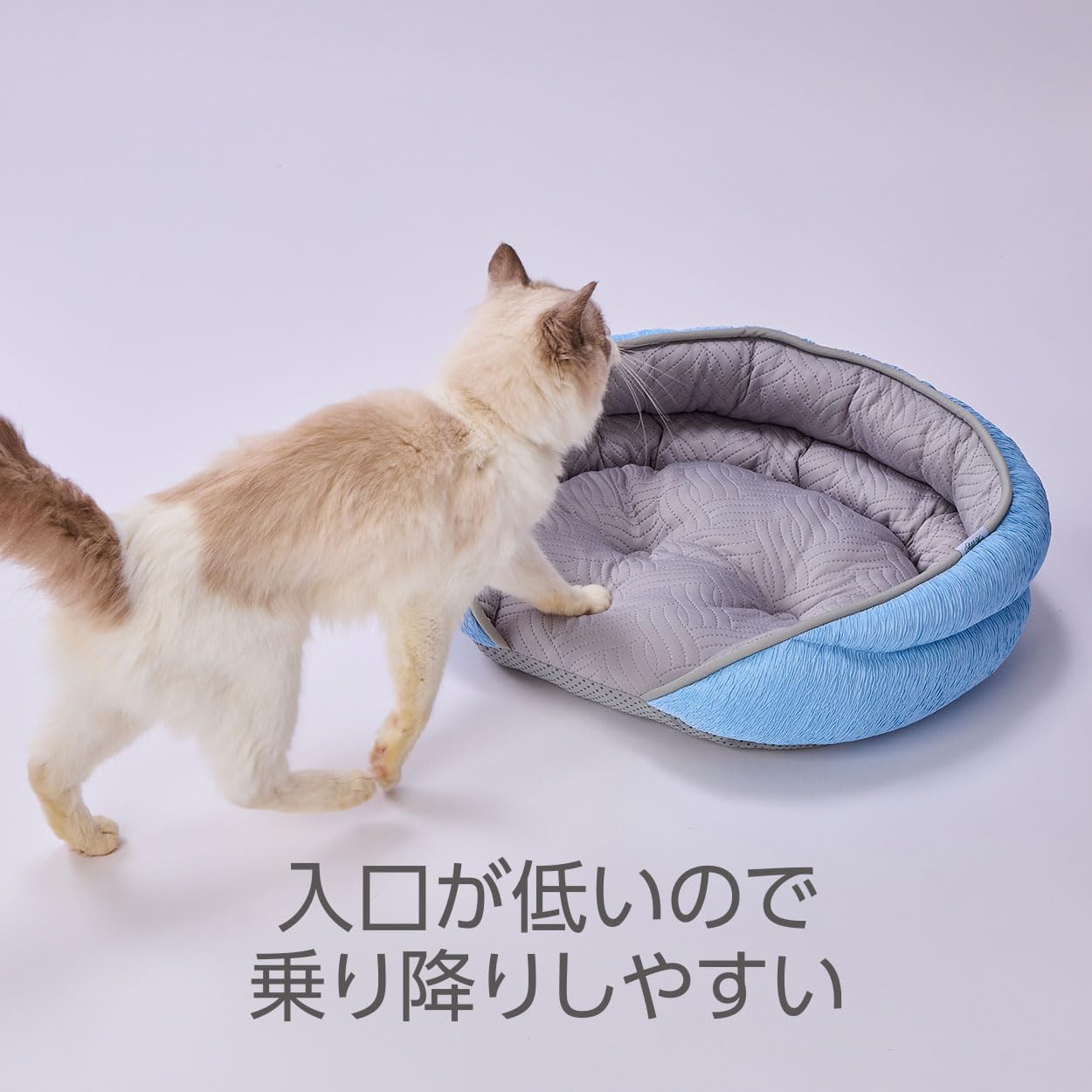 Amazon.co.jp: アドメイト (ADD. MATE) 犬猫用ベッド Cuna ひんやり