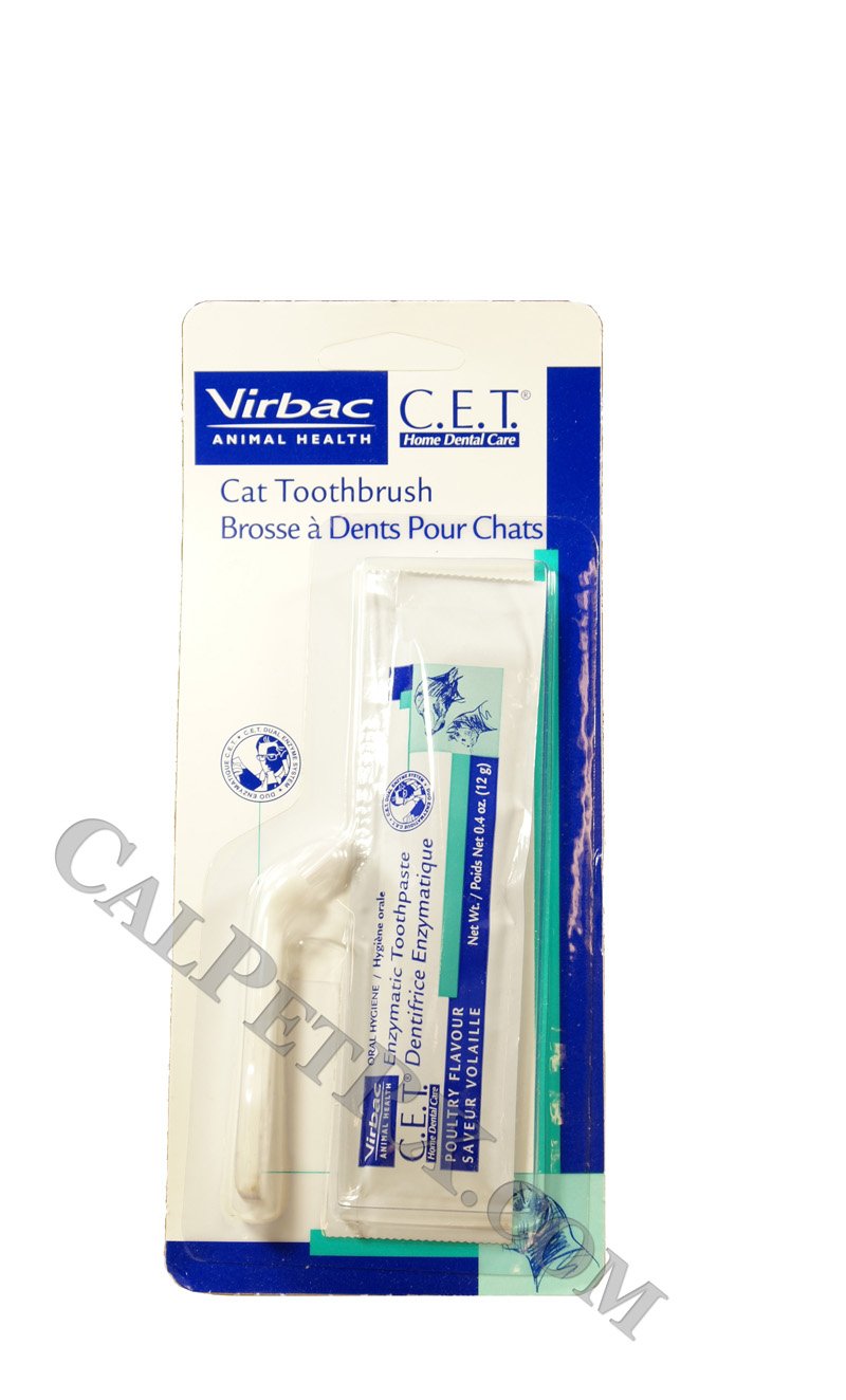 cat toothpaste amazon