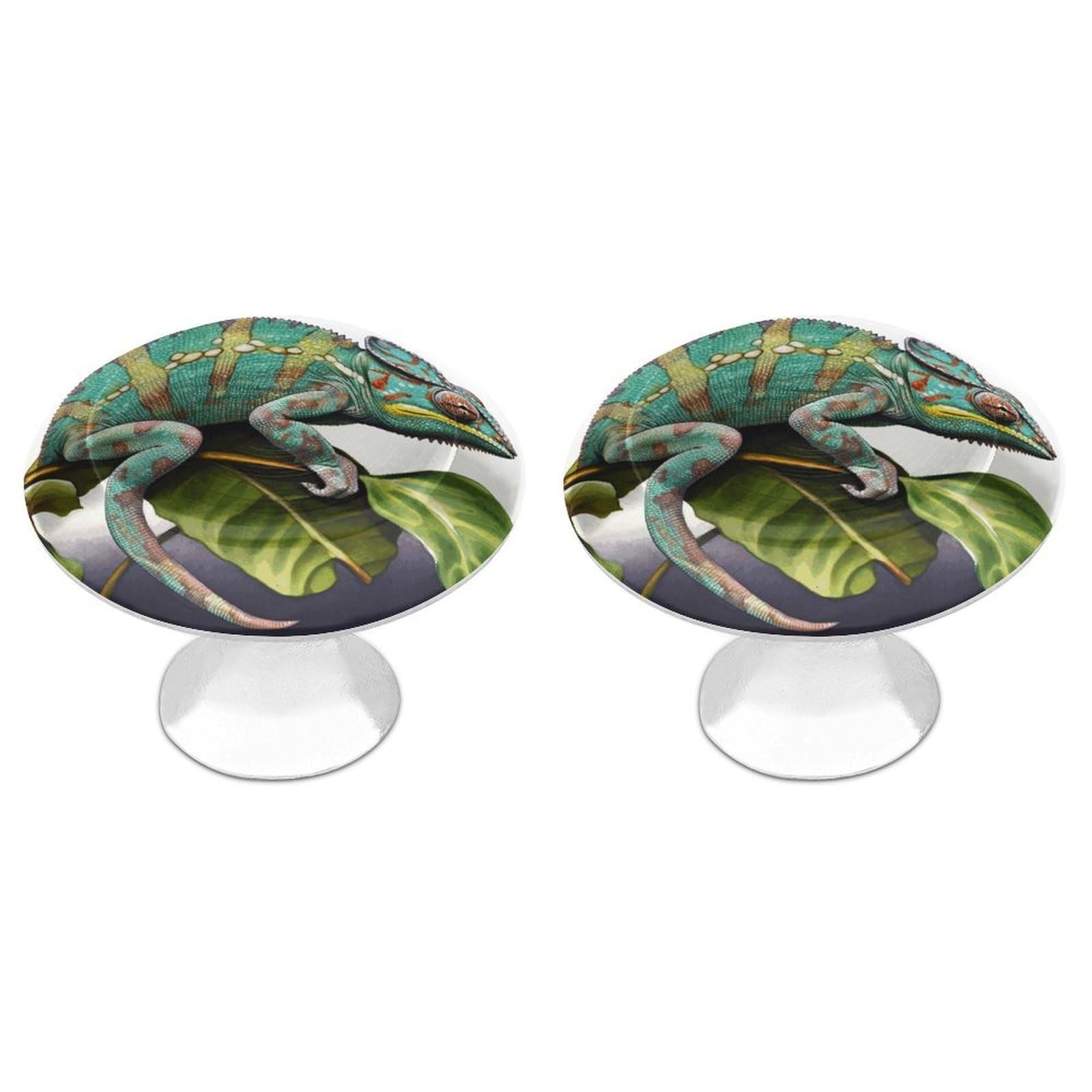 Vstadank Style Chameleon Cabinet Knob 2 Pack Round Drawer Pull Kitchen Cabinet Hardware Stainless Steel Dresser Drawer Knob Simple Cabinet Pull For Dresser Closet Door Knobs Cupboard
