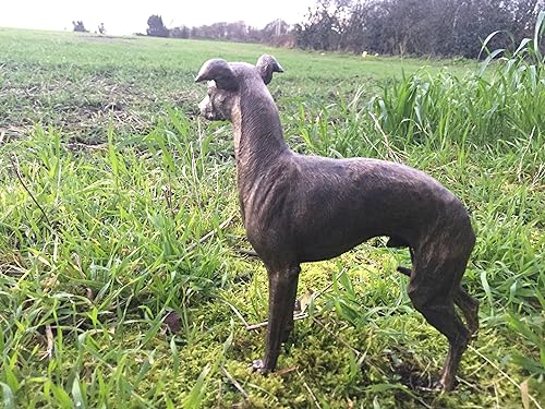 Greyhound Dog Ornament Statue Bronze Bronze Effect Finish, Height 21cm Width 6cm. Length 22cm - Image 2