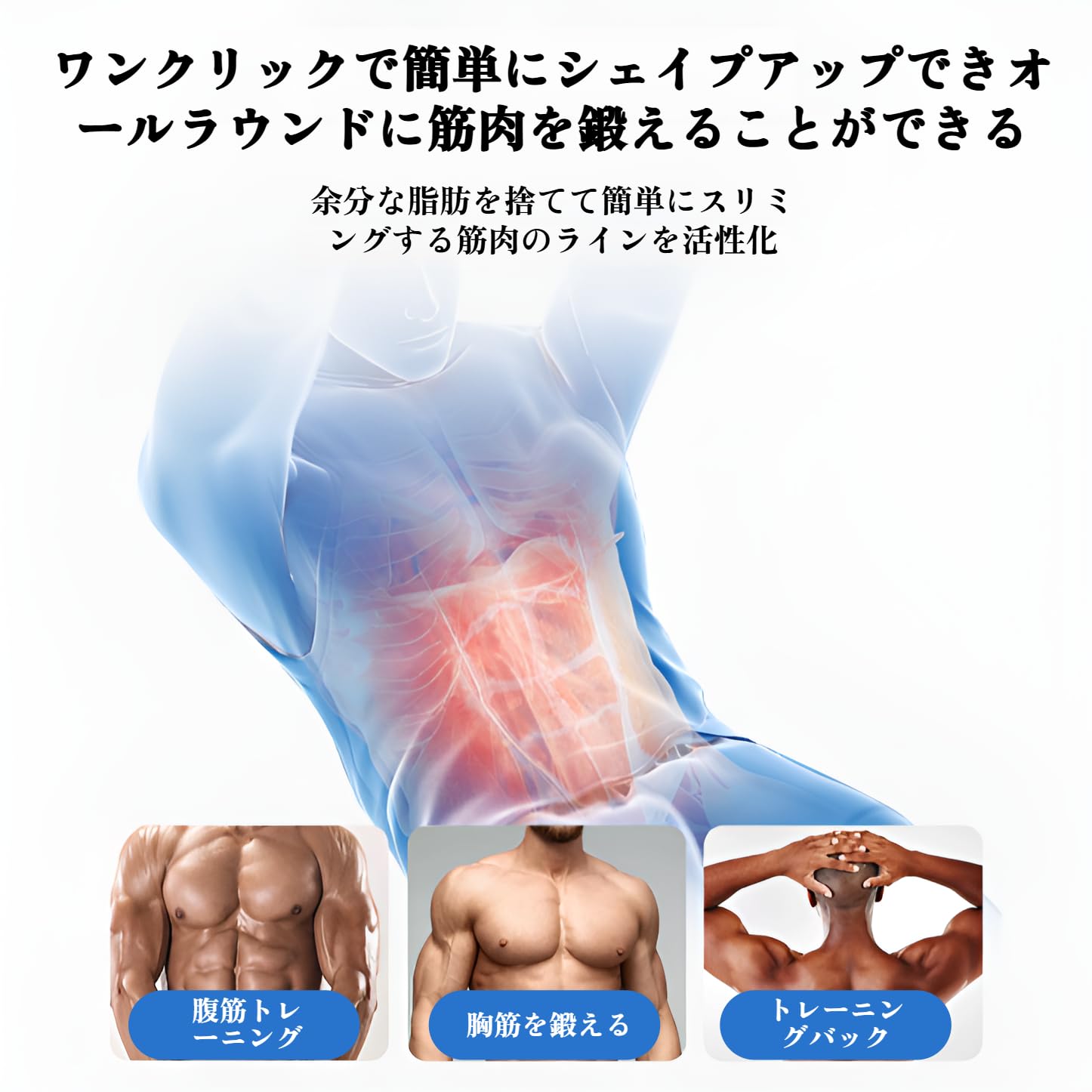 Amazon.co.jp: [lalarimi]【EMS腹筋】【シックスパッド腹筋】10種