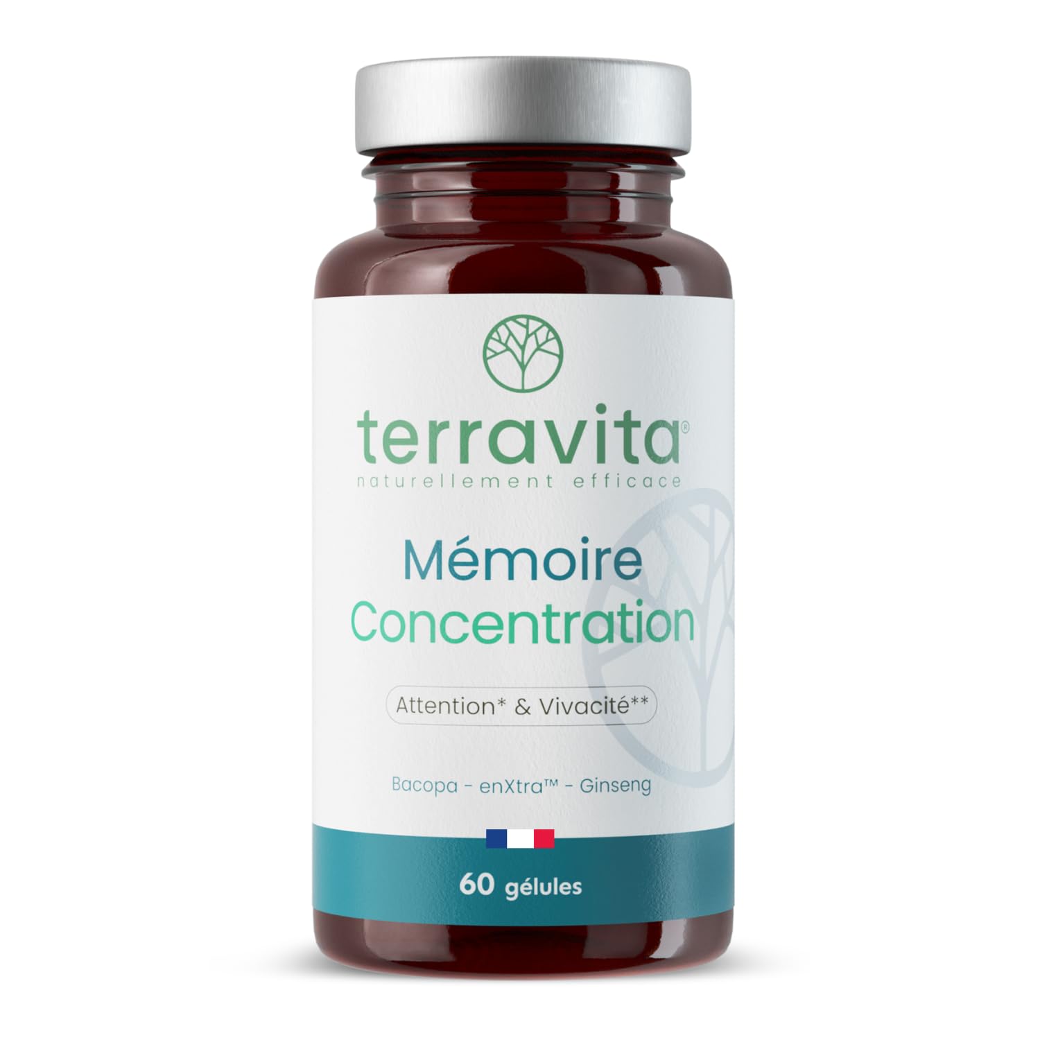 Mémoire Concentration | Ginseng Rouge de Corée + Bacopa + Actif Breveté EnXtra | 5 Heures de Vivacité et de Clarté Intellectuelle | Nootropique sans Caféine | 60 Gélules | Made in France | Terravita