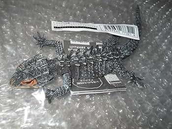 Amazon.co.jp: いきもの大図鑑アドバンス アカメカブトトカゲ (2