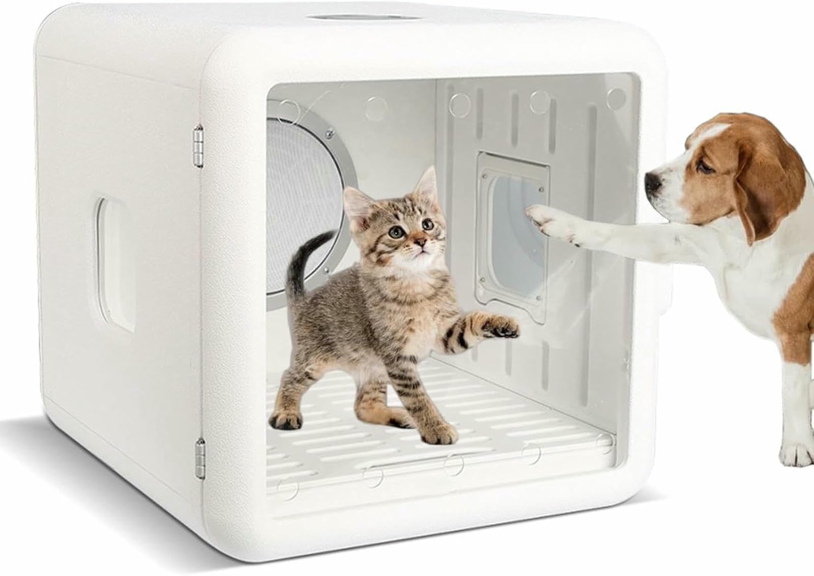 Boîte de séchoir pour animaux de compagnie pour chiens et chats après les balades de pluie