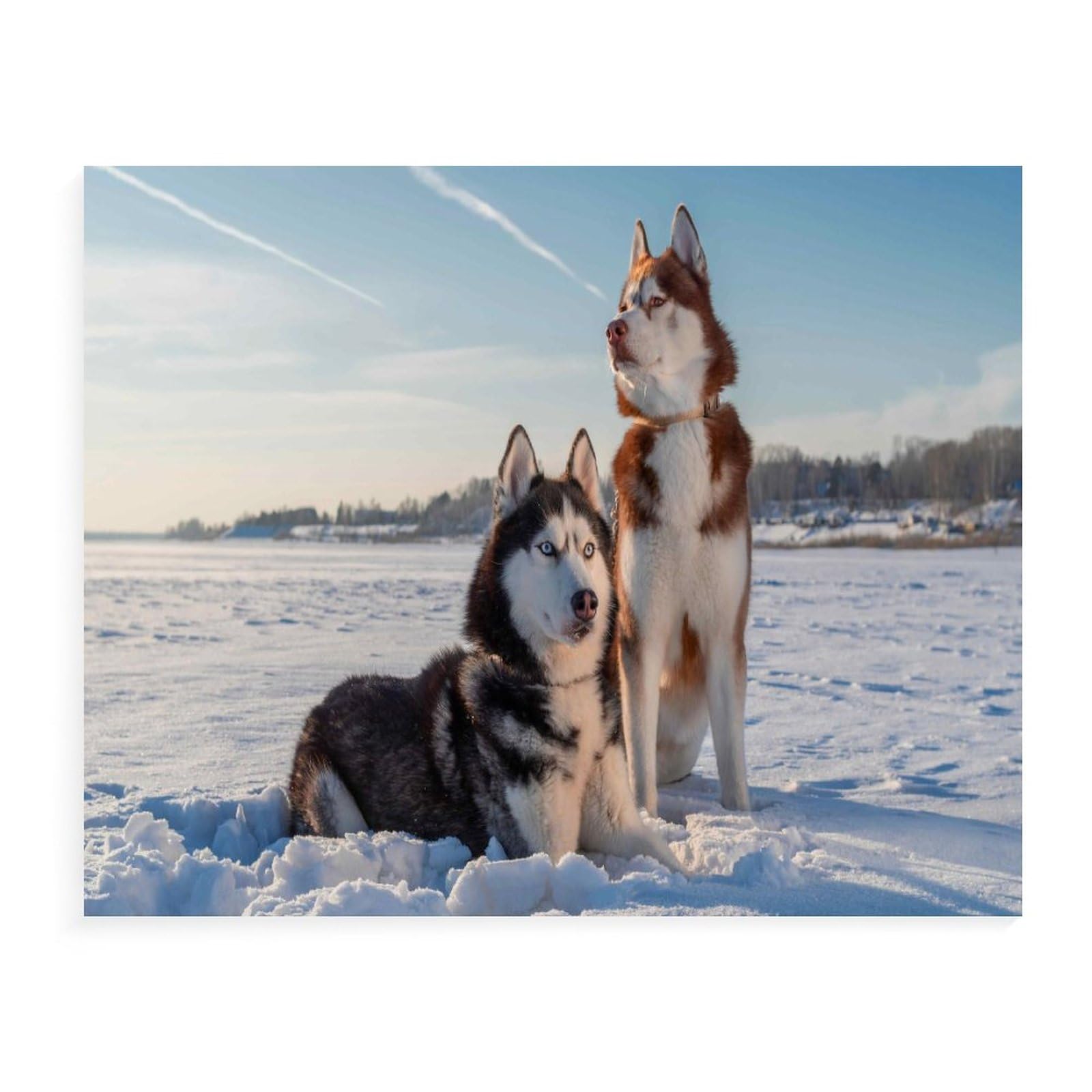 Siberian Husky Jigsaw Puzzle - 1000 Pieces for Adults and Kids - Difficulty Game, Educational Toy, Family Decoration (38x26cm) - 138 — image 1